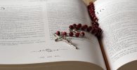 amazon biblias catolicas
