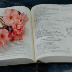 Las mejores Biblias de apuntes