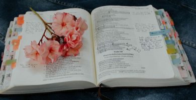 Las mejores Biblias de apuntes