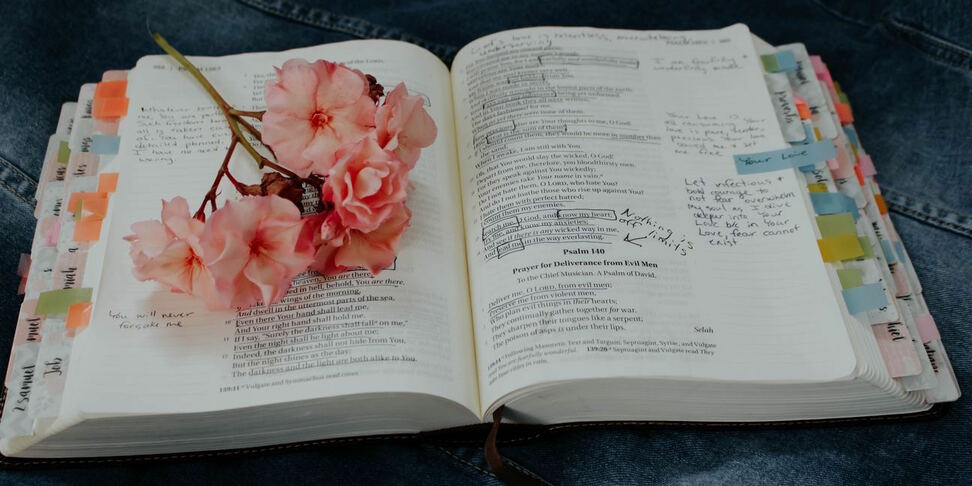 Las mejores Biblias de apuntes